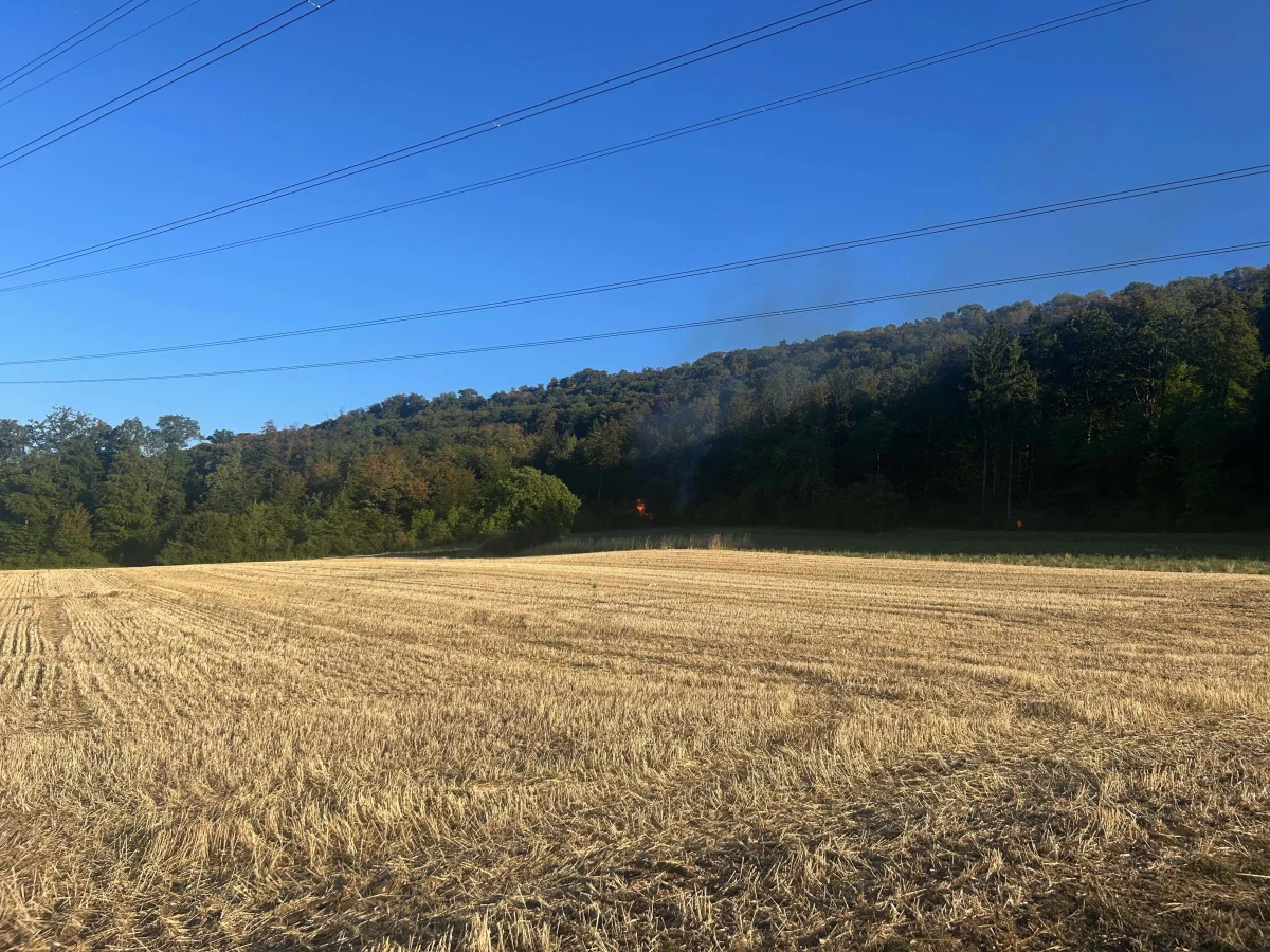 Ein abgeerntetes Feld liegt im Vordergrund, während im Hintergrund Rauch aus einem Waldstück aufsteigt. Über dem Feld verlaufen Stromleitungen.