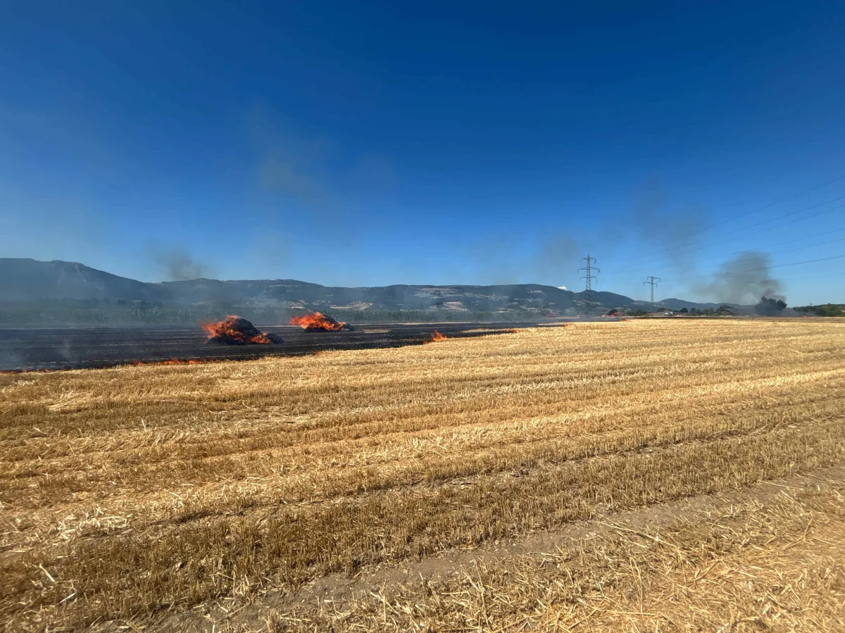 Ein abgeerntetes Feld steht in Flammen, es gibt mehrere kleine Brandherde. Rauch steigt in den blauen Himmel auf, im Hintergrund sind Hügel sichtbar.