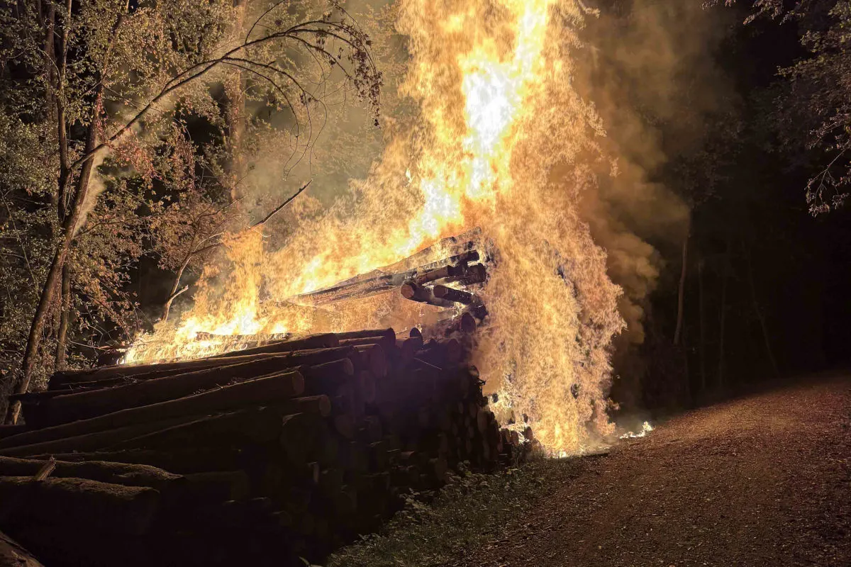 Ein großer Holzstapel im Wald brennt lichterloh. Flammen schießen in die Höhe und erleuchten die Umgebung.
