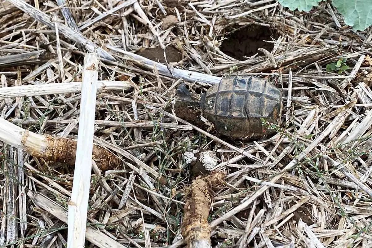 Bischofsheim - Spaziergänger findet Handgranate