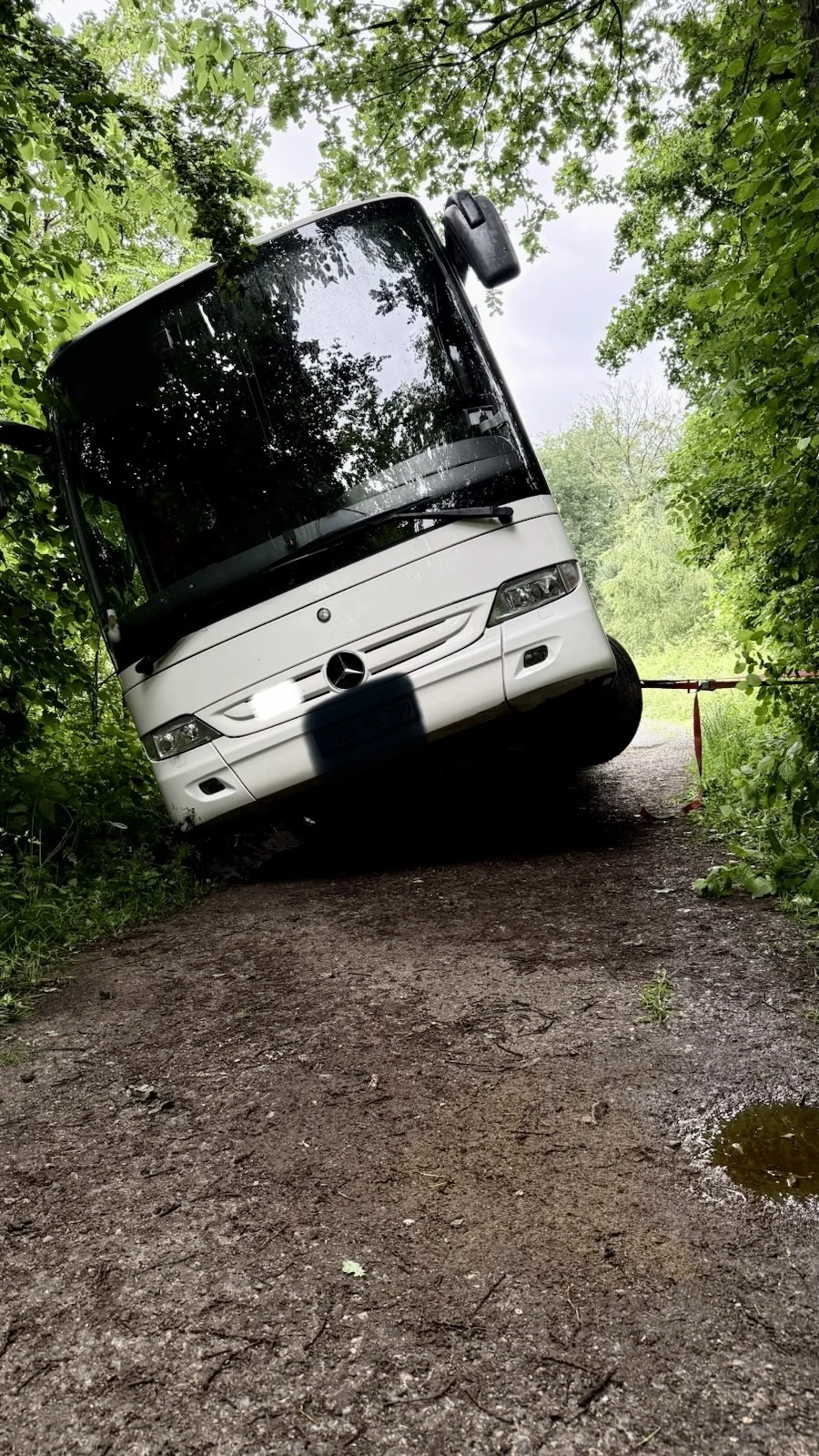 Ein großer, weißer Bus steht diagonal zwischen Bäumen auf einem schmalen, unbefestigten Weg im Wald. Die Front ist leicht in die Erde geneigt.