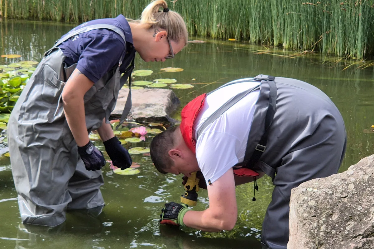 Stadtoldendorf NI – Feuerwehr rettet Küken aus Wasserrohr