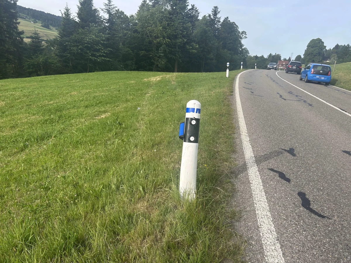 Ein weißer Leitpfosten mit blauer Markierung steht am Rand einer kurvigen Landstraße. Die Straße führt durch eine landschaftlich grüne, bewaldete Region.