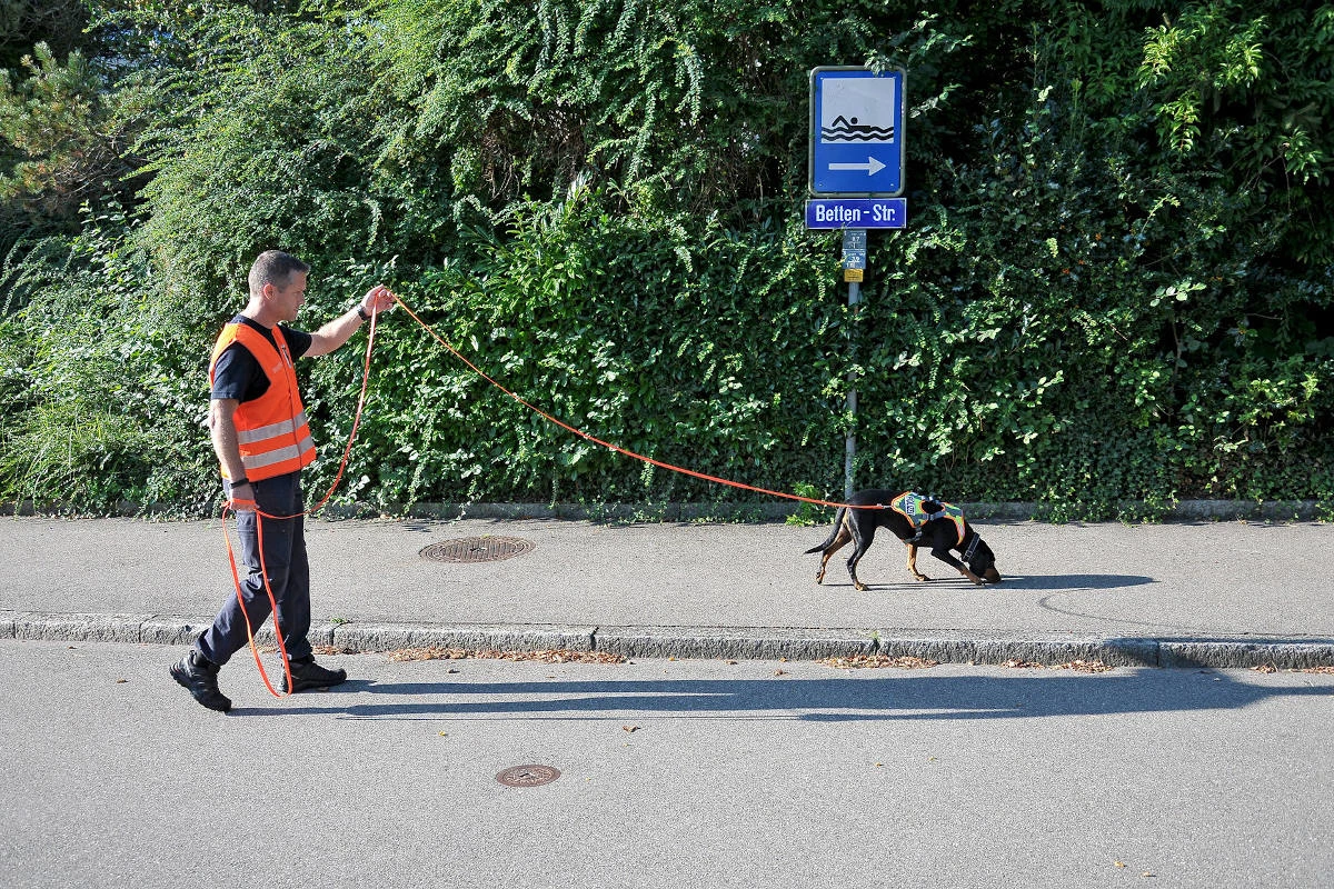 Polizeihunde - So retten Sie Vermissten oft das Leben