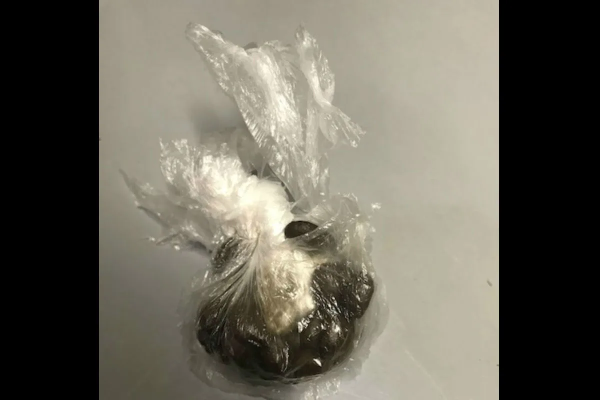 Marihuana und Kaffeebohnen in Unterhose geschmuggelt