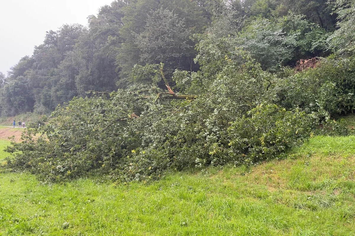 Kanton Jura - Sturm führt zu Verkehrsbehinderungen