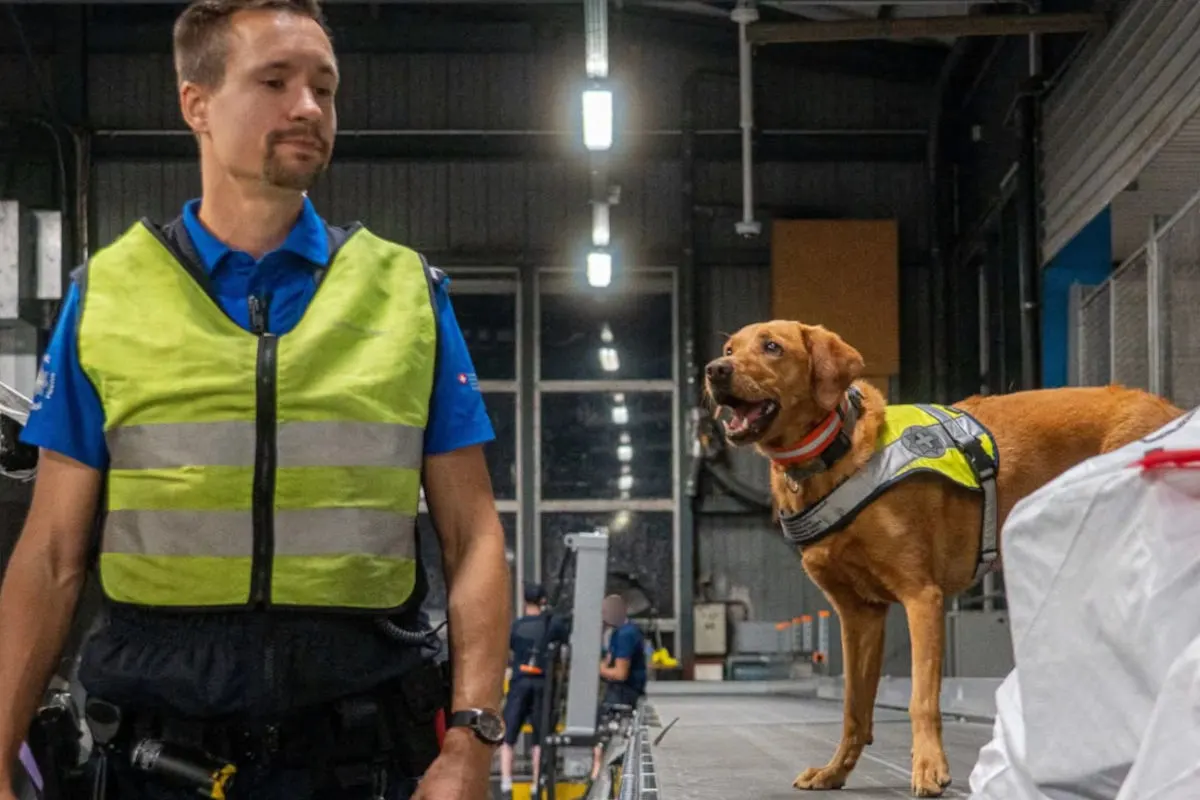 Ein Polizist mit Warnweste steht neben einem Hund, der ebenfalls eine Warnweste trägt, in einer beleuchteten Halle.