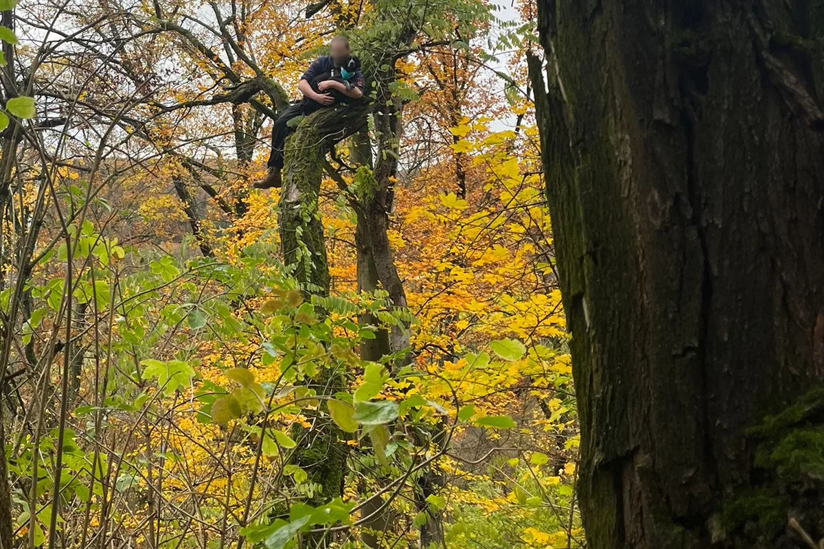 Stuttgart DE - Feuerwehr rettet Hund aus acht Metern Höhe 