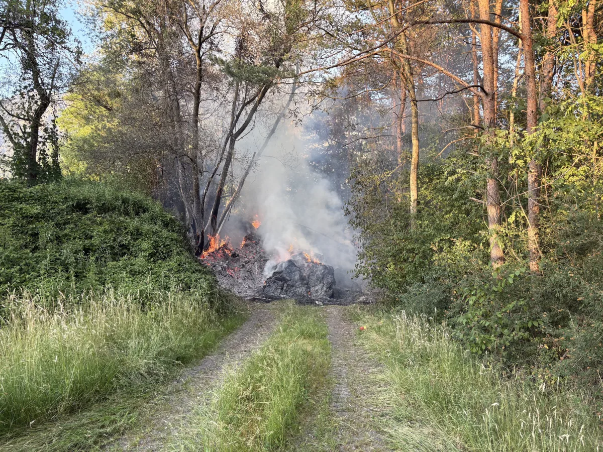 Ein Waldstück brennt, Flammen und Rauch sind sichtbar. Ein schmaler Pfad führt in das betroffene Gebiet.