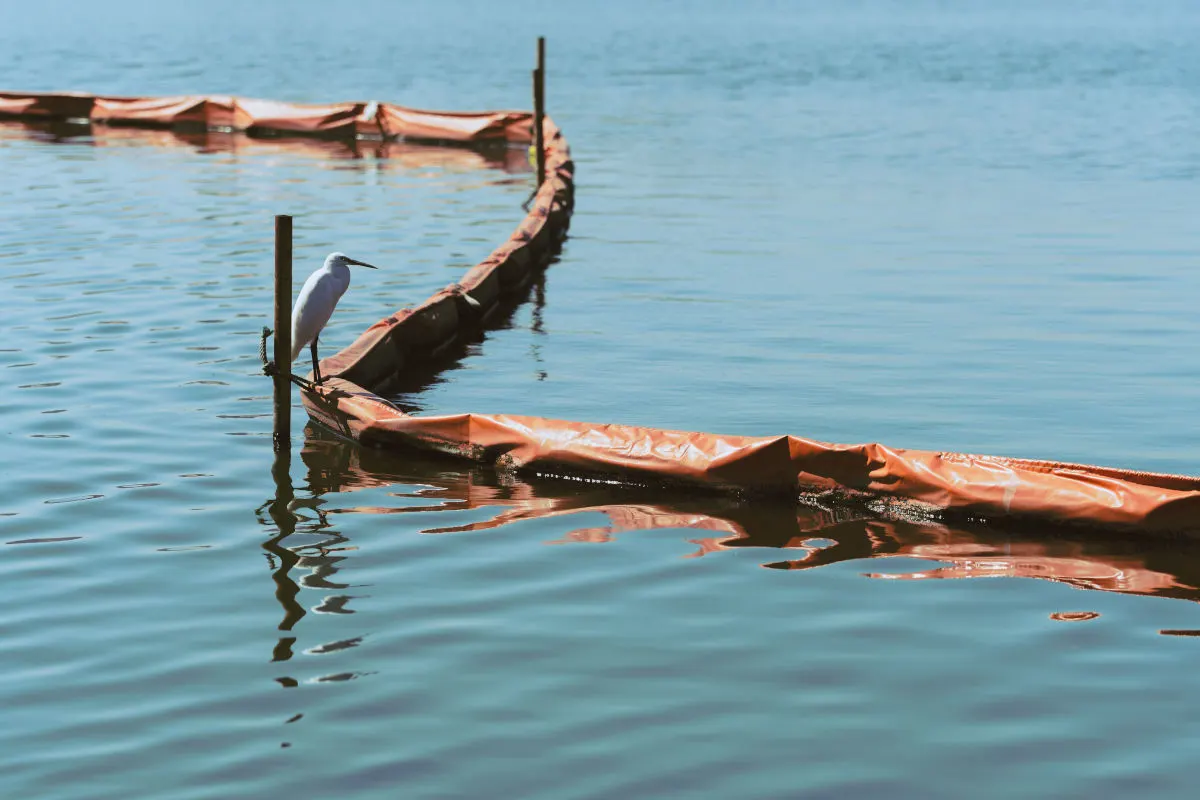 Ein weißer Vogel sitzt auf einer orangefarbenen Barriere, die im blauen Wasser schwimmt und eine Containment-Funktion hat.
