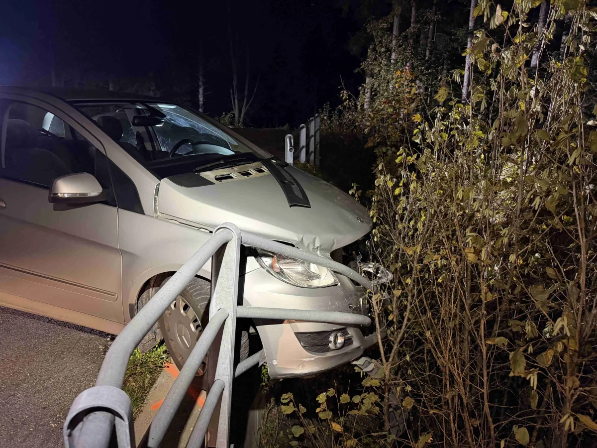 Ein silbernes Auto ist frontal in ein Metallgeländer gefahren. Die Fahrzeugfront ist beschädigt und Büsche sind zu sehen.