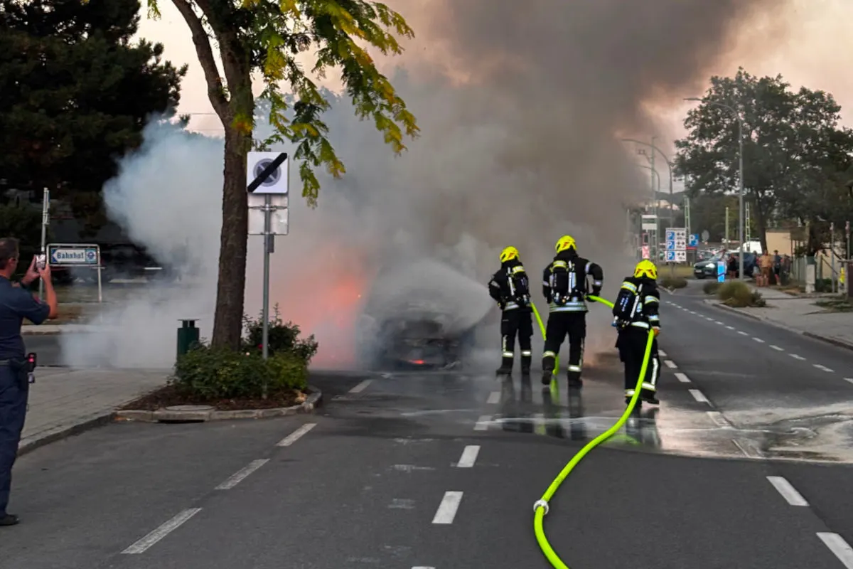 Drei Feuerwehrleute mit Schläuchen bekämpfen ein brennendes Auto, das von dichtem Rauch umhüllt ist. Ein Baum und ein Straßenschild befinden sich im Vordergrund.