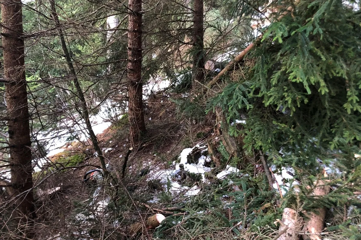 Tragischer Arbeitsunfall in Lenzerheide GR - Bei Forstarbeiten mit der Motorsäge Hand verletzt
