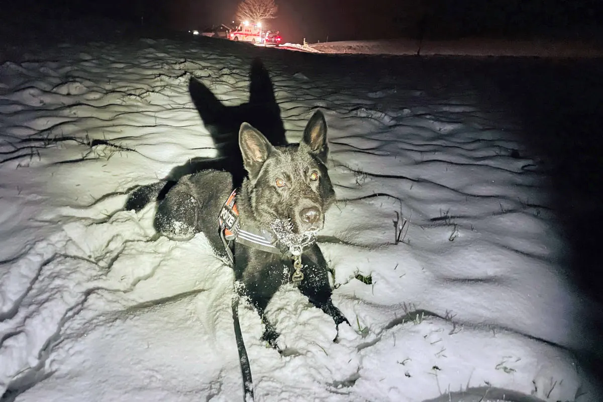 Willisau und Entlebuch LU – Erfolgreiche Einsätze von Luzerner Polizeihunden am Wochenende