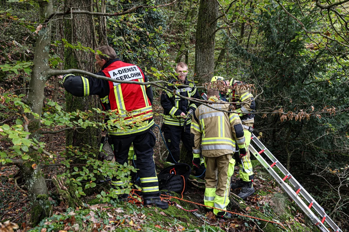Iserlohn – Feuerwehr rettet Hund aus Steilhang im Stadtwald