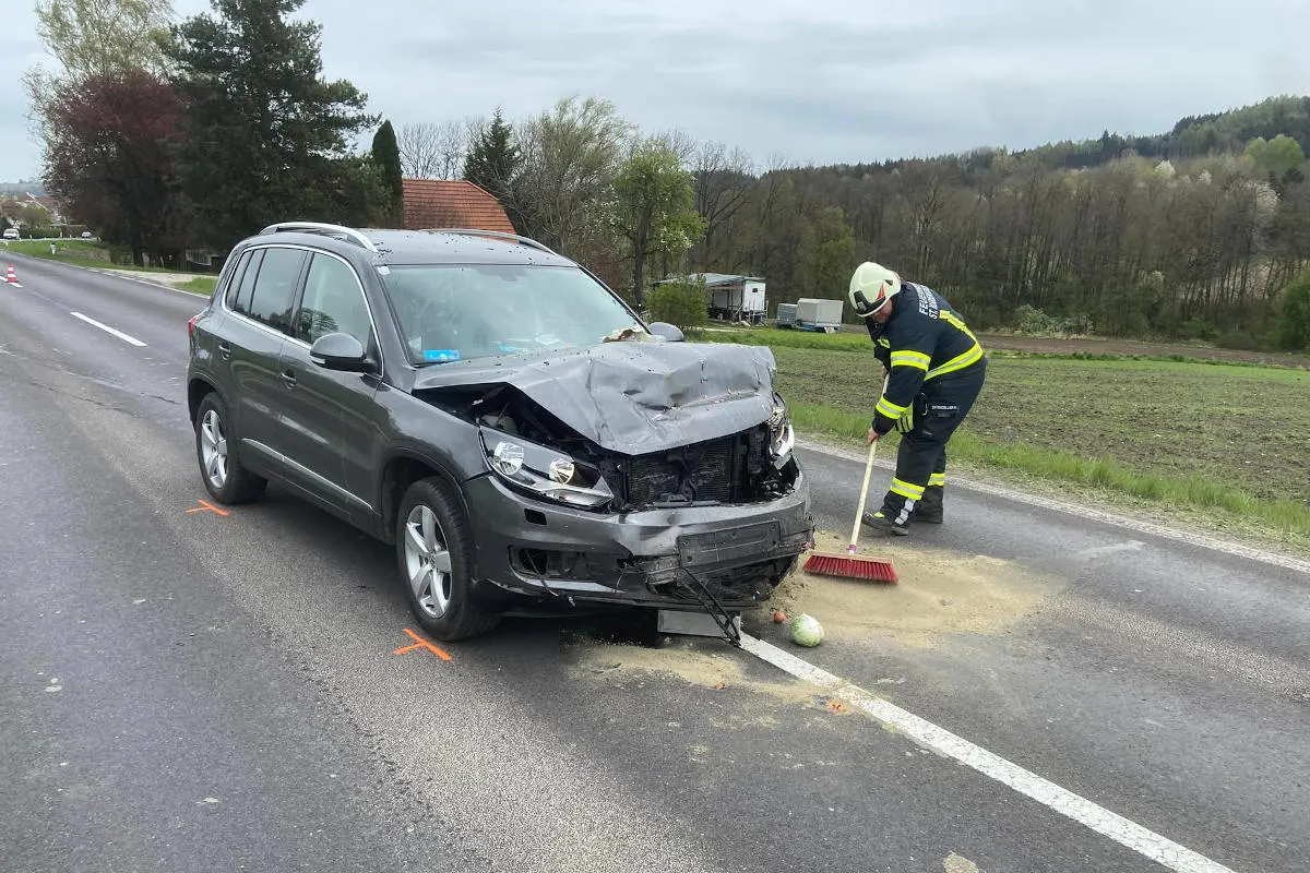 Bezirk Eferding – Bremsung für Entenfamilie endete mit Auffahrunfall