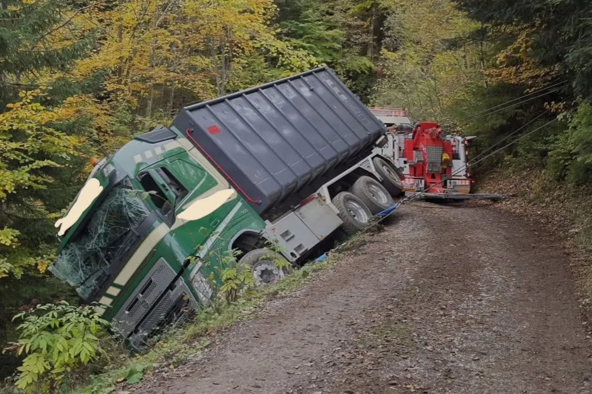 Ein großer grüner Lastwagen ist seitlich gekippt und steckt in einem Graben auf einem Waldweg. Ein rotes Abschleppfahrzeug versucht, ihn zu bergen.