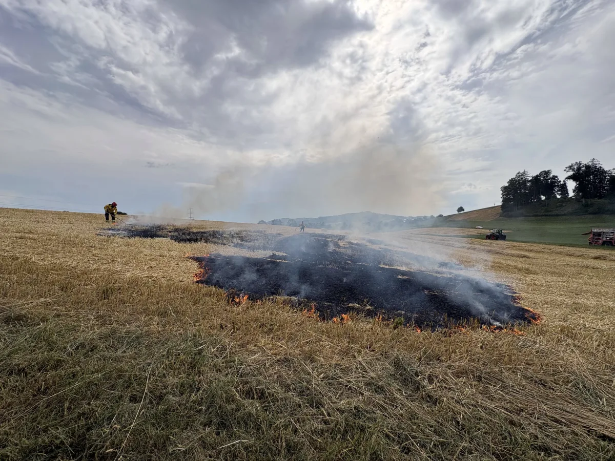 Rauch steigt von einem brennenden Feld auf, während Feuerwehrleute das Feuer löschen. Im Hintergrund ist ländliche Landschaft sichtbar.