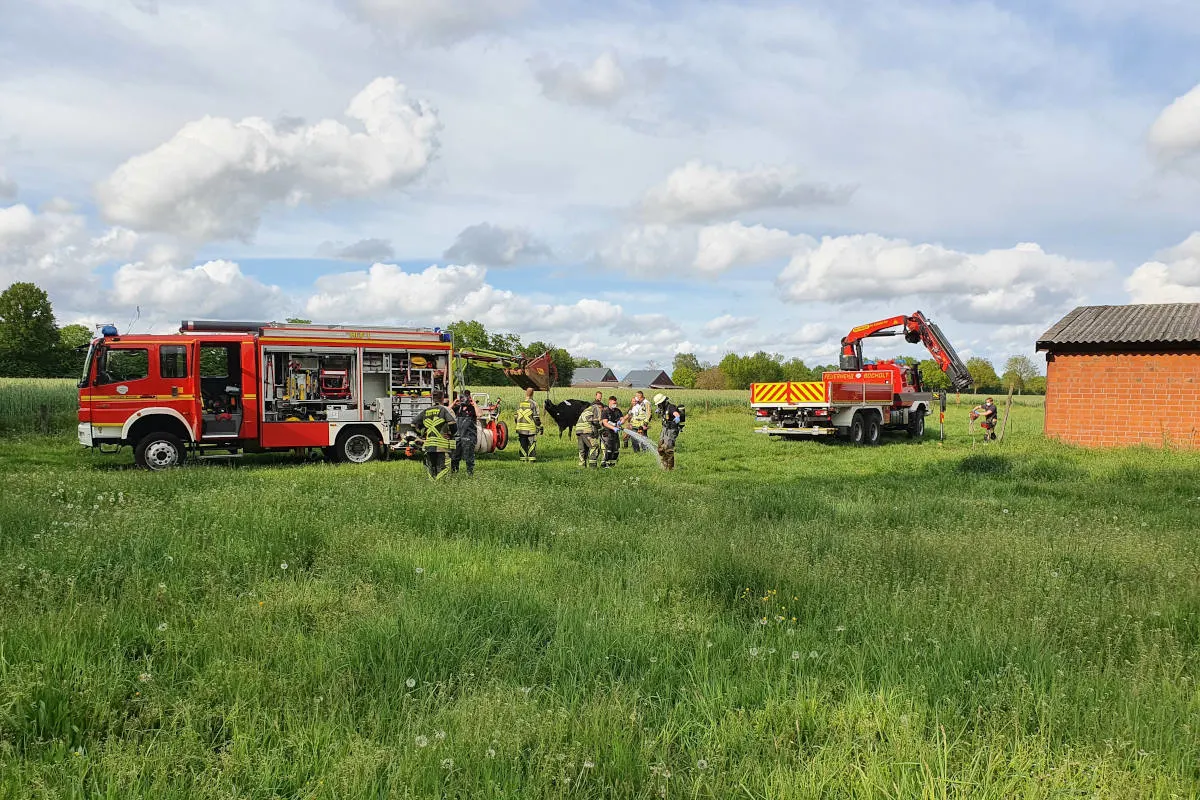 Bocholt – Feuerwehr rettet trächtige Kuh aus Güllekeller