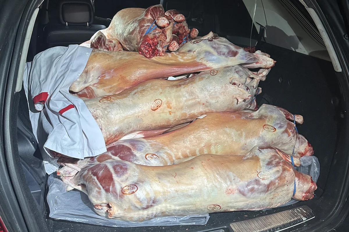 Weil am Rhein BW – Zoll stoppt unzulässigen Transport von Fleisch