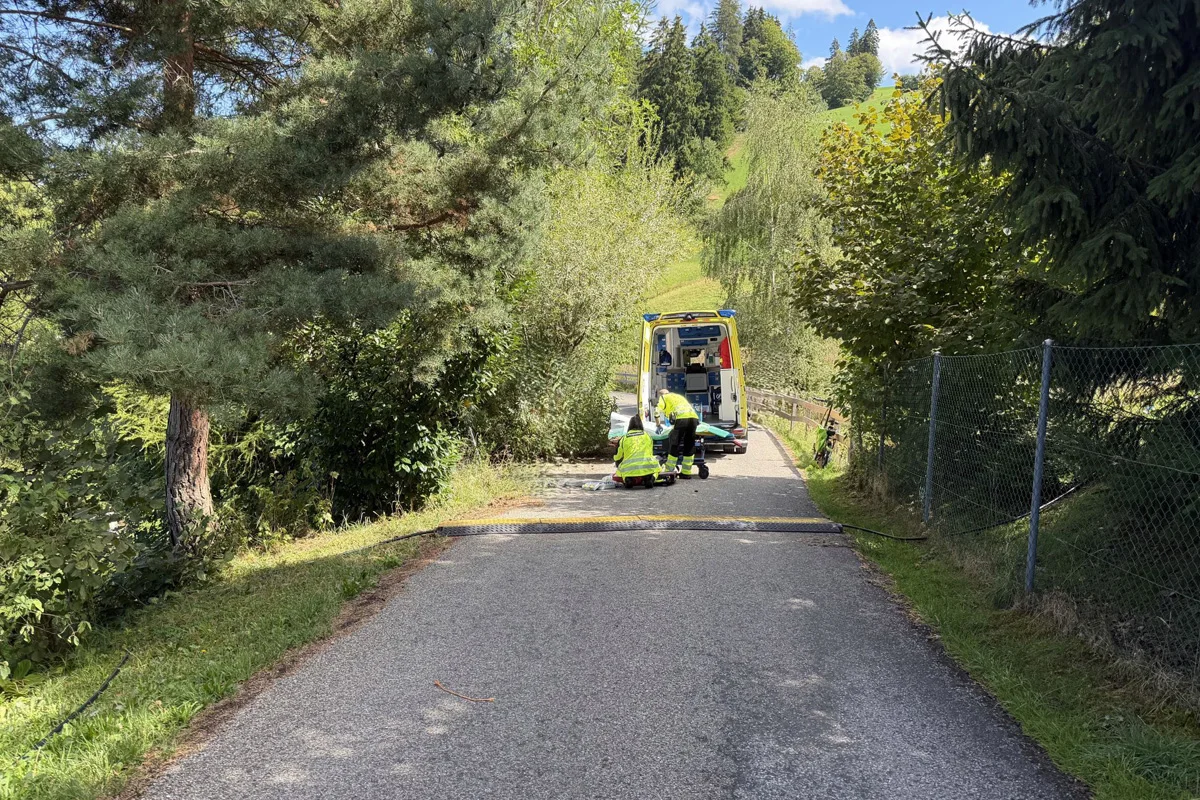 Ein Krankenwagen steht auf einem schmalen Waldweg, umgeben von Bäumen, mit zwei Sanitätern, die am Fahrzeugende arbeiten.