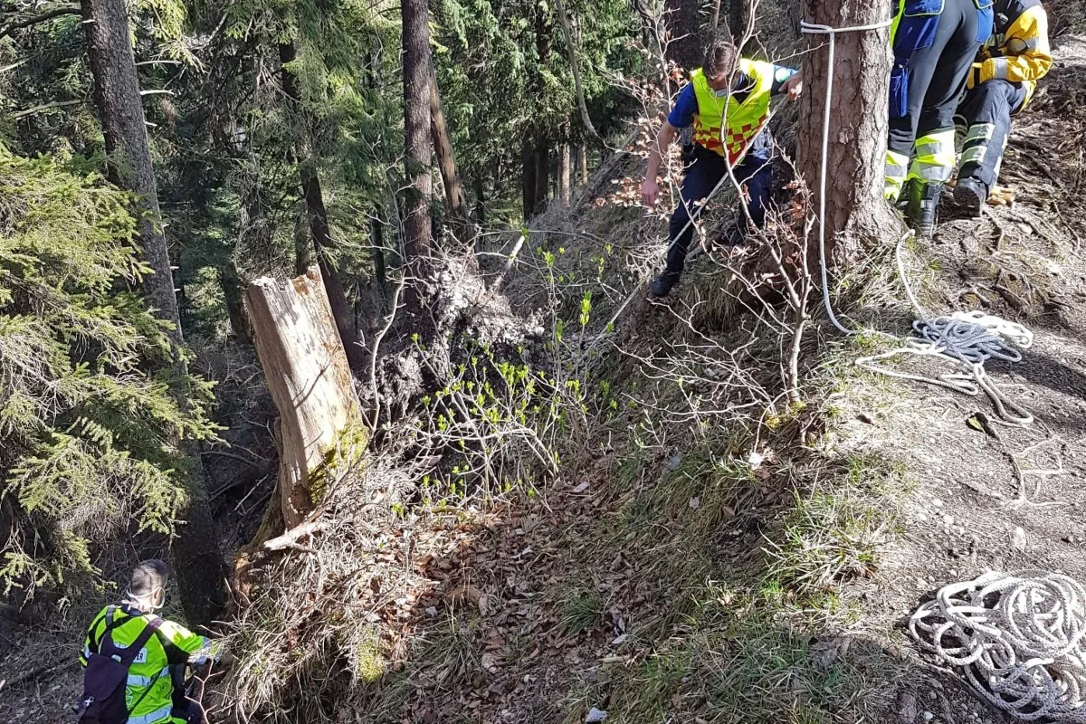 Bichelsee TG - Wanderin stürzt rund 40 Meter Böschung hinunter