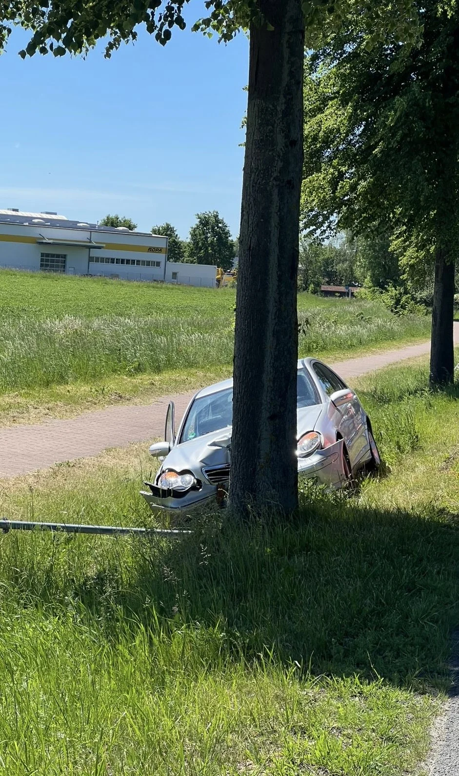 Ein Auto steht mit beschädigter Front auf einer Wiese vor einem Baum. Der Unfall geschah bei sonnigem Wetter.