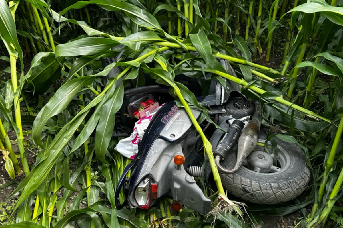 Bendern FL – Nach Raubüberfall - Täter nach Verfolgung gefasst
