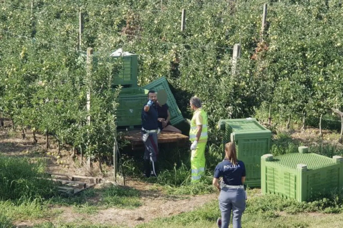 44-Jährige zwei Wochen in Apfelkiste eingesperrt