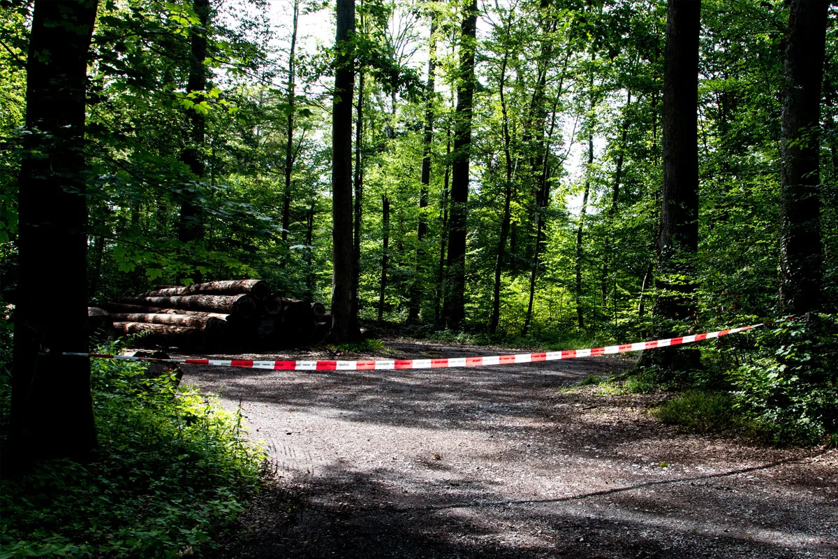 Rust BW – Polizei fahndet nach Tatverdächtigem wegen Kindesmissbrauch