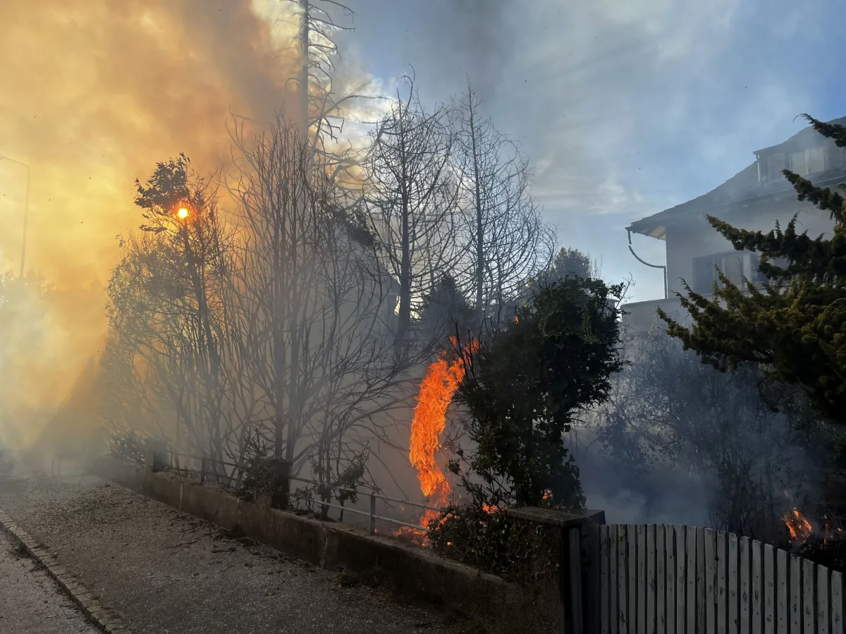 Im Vordergrund sind Flammen und dichter Rauch zu sehen, die von Bäumen zwischen einem Weg und einem Wohnhaus aufsteigen.