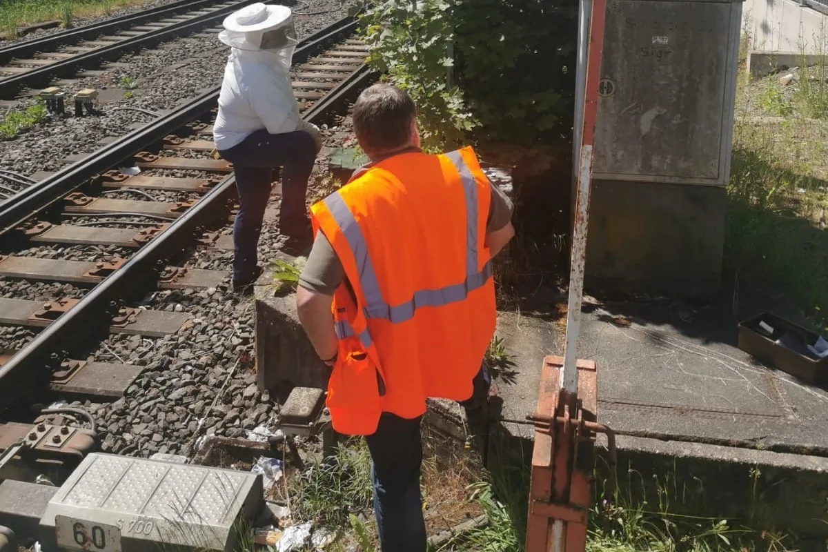 Bahnhof Siegen – Polizeieinsatz und Sperrung wegen verirrten Bienen 