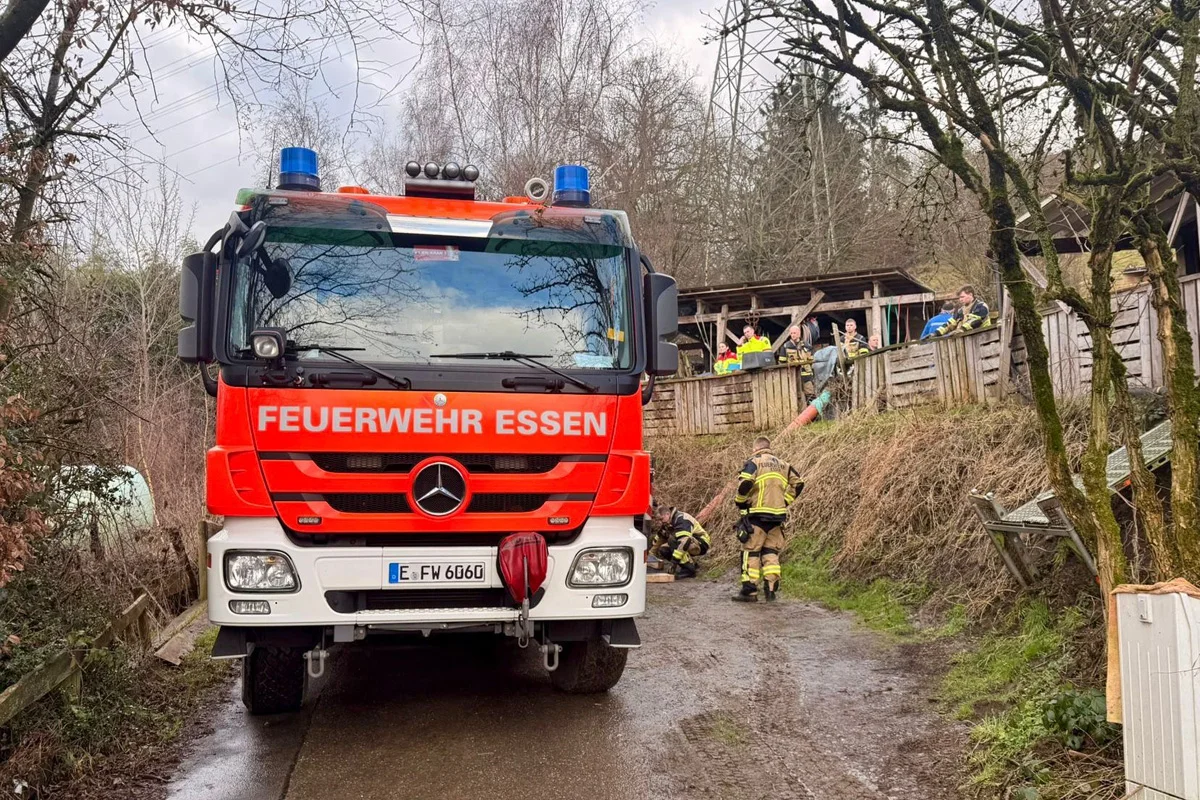Essen – Gestürztes Pferd verstirbt trotz Tierrettung