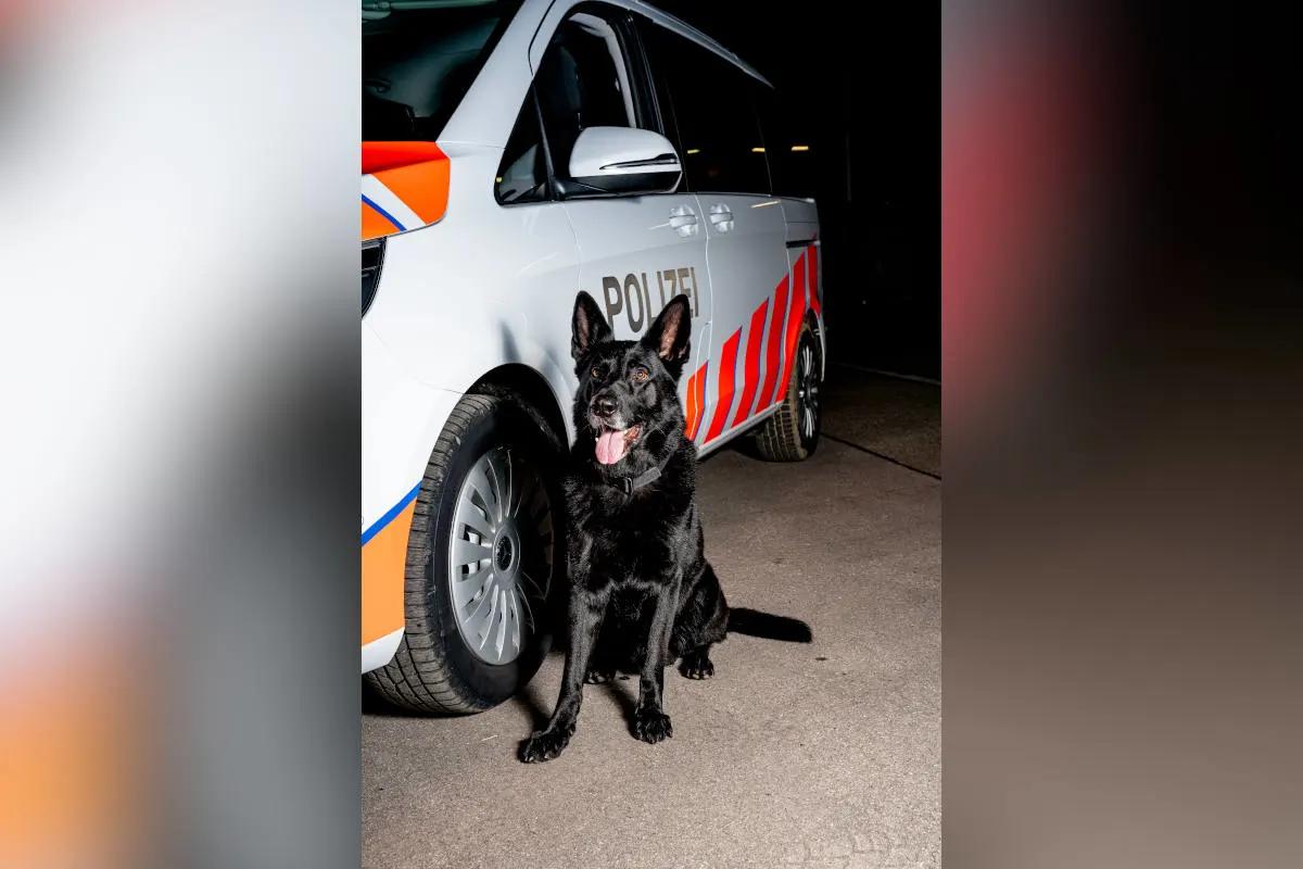 Aarburg und Gränichen AG – Polizei verhaftet insgesamt 5 Einbrecher