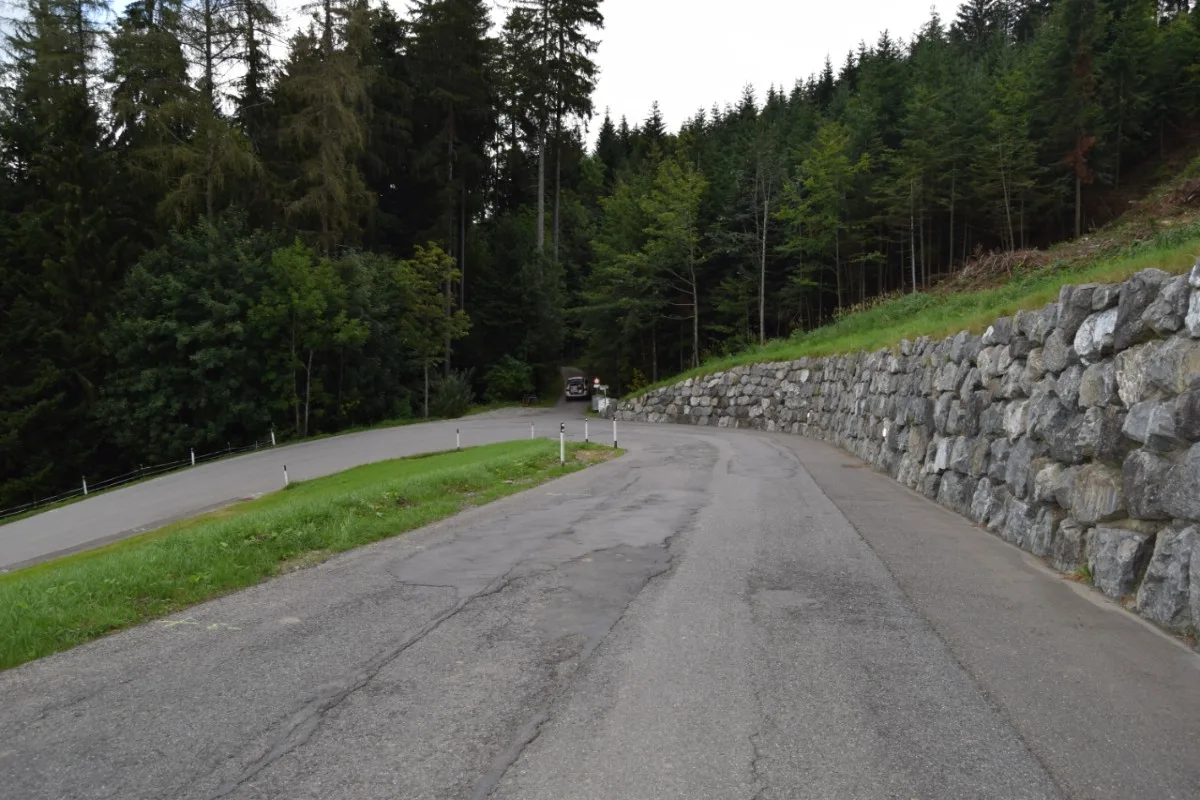 Selbstunfall in Oberegg/AI  - 18-Jähriger fährt ungebremst in den Wald