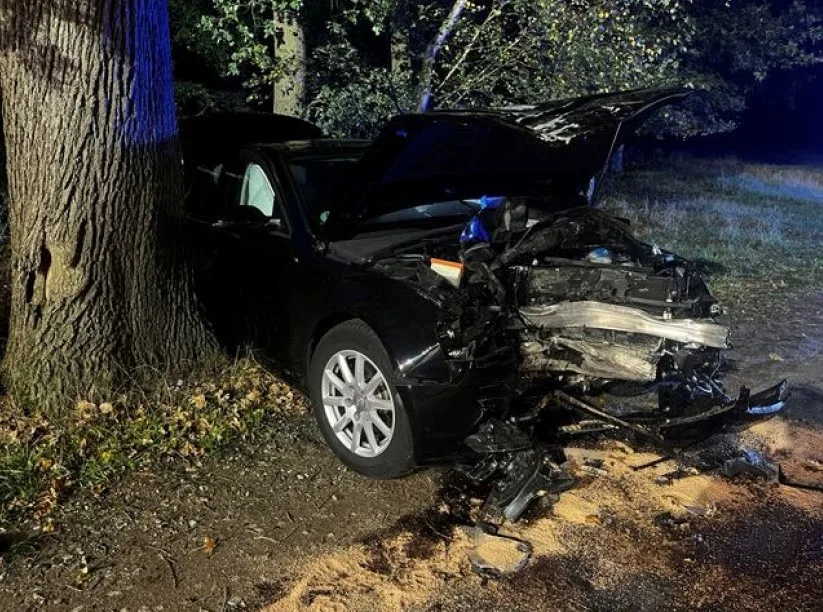 Ein schwarzes Auto steht mit erheblichem Frontschaden gegen einen großen Baum. Die Umgebung scheint bewaldet zu sein.
