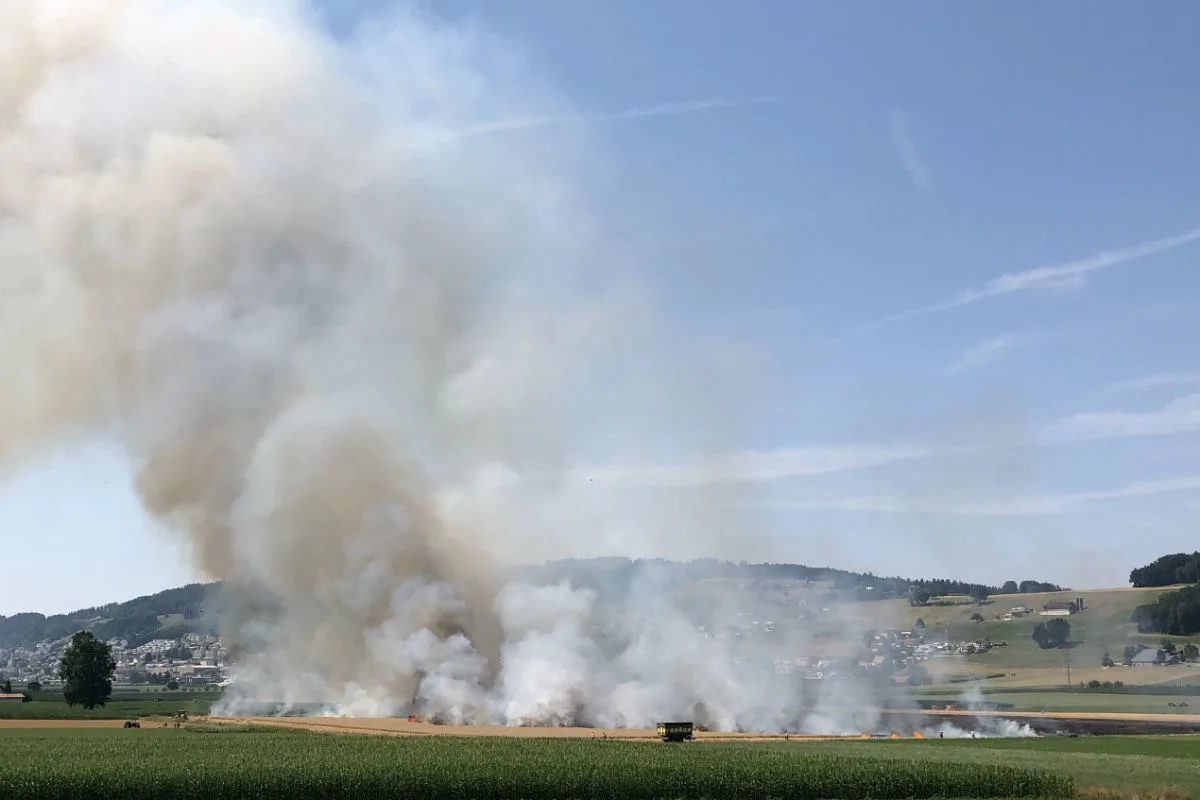 Mauensee LU - Kornfeld gerät in Brand