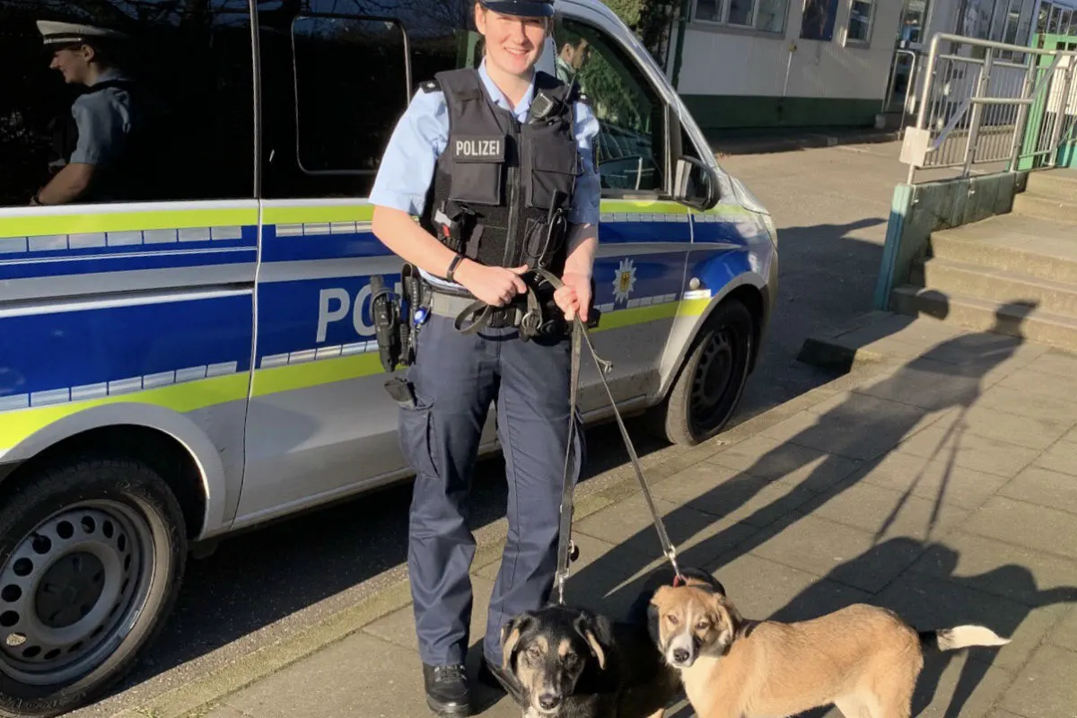 Hamburg  - Zwei wohl ausgesetzte Hunde liefen auf den Geleisen!