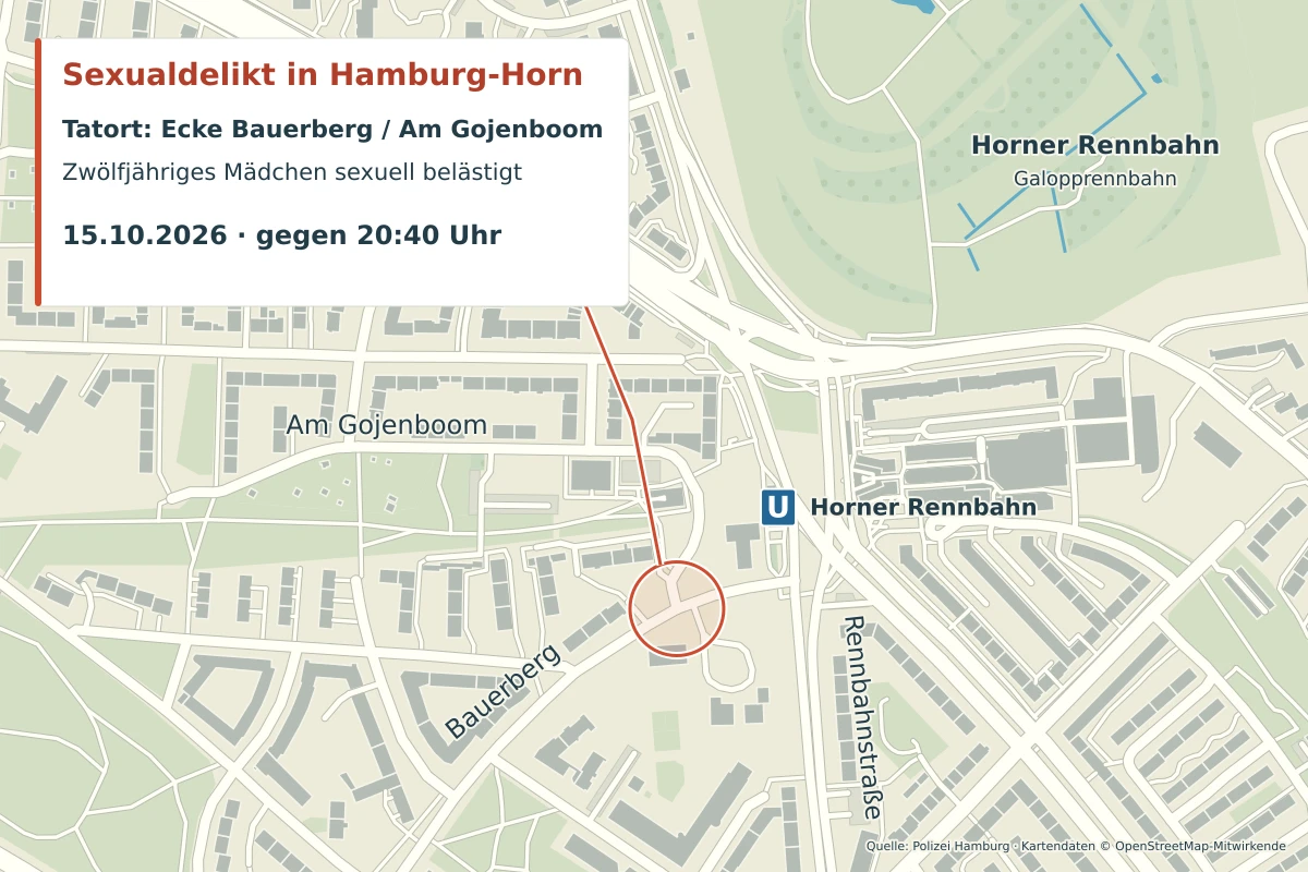 Eine detaillierte Karte zeigt den Tatort eines Vorfalls in Hamburg-Horn, markiert mit einem roten Kreis.
