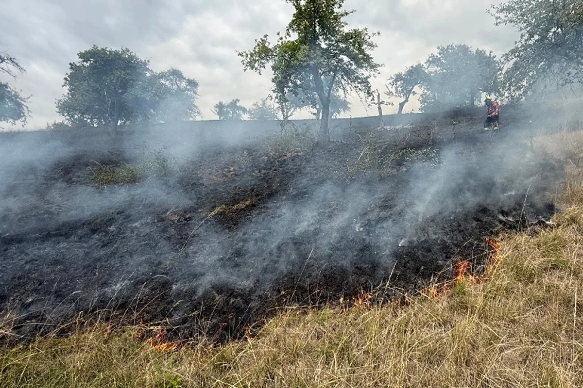 Ein Feld hat aufgrund eines Brandes starke Rauchentwicklung. Ein Feuerwehrmann ist im Hintergrund bei der Brandbekämpfung zu sehen.