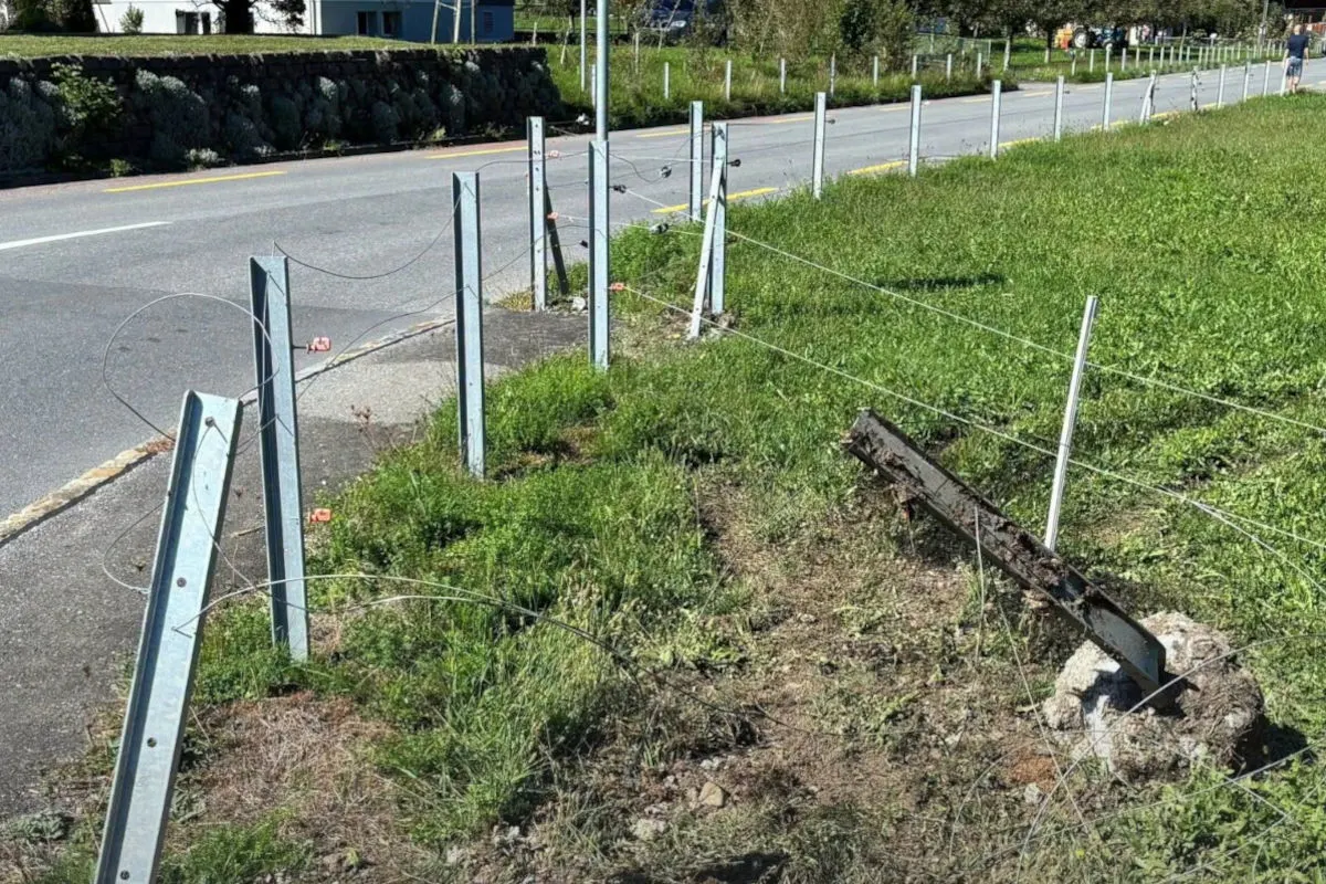 Der Zaun entlang einer Straße ist umgeknickt und beschädigt. Der Asphalt der Straße ist sichtbar, ebenso das Grün am Straßenrand.