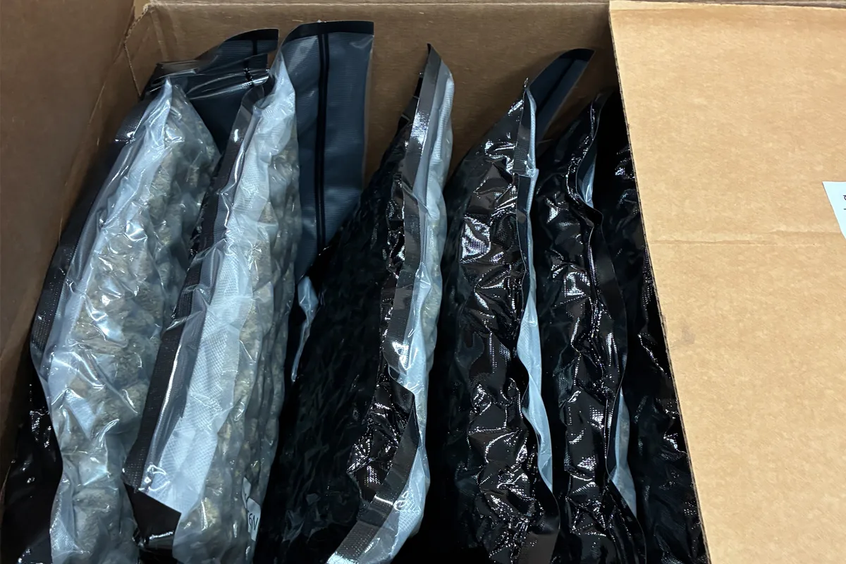 Düsseldorf – 1,5 Tonnen Marihuana sichergestellt