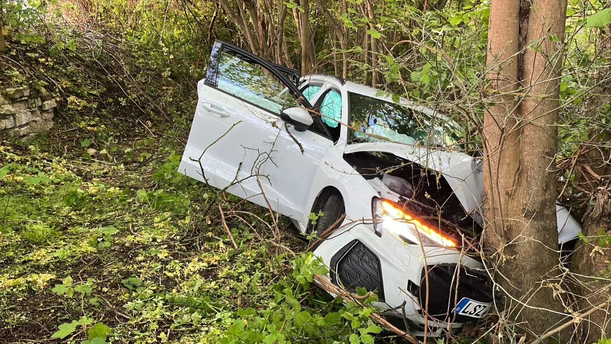 Ein weißes Auto ist von der Straße abgekommen und gegen einen Baum geprallt. Der Wagen steht im dichten Unterholz, die Airbags sind ausgelöst.