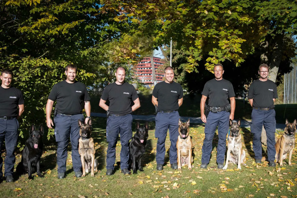 Zug ZG - Ike gewinnt die Polizeihundeprüfung 2018