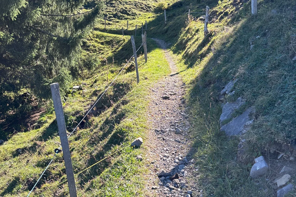Ein schmaler, steiniger Pfad verläuft entlang eines grünen Hügels mit Pfosten und Drahtzaun darüber. Die Sonne scheint klar, keine Menschen sichtbar.