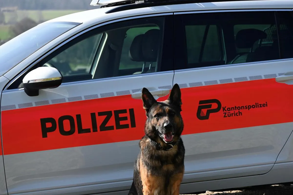 Höri ZH - Mann nach Streit schwer verletzt