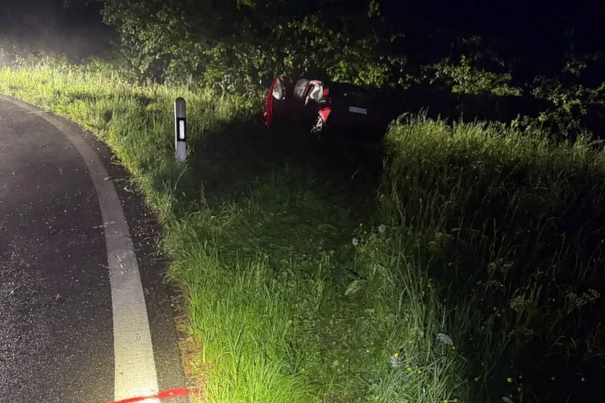 Ein rotes Auto liegt im Graben neben einer Landstraße, umgeben von hohen Gräsern, in nächtlicher Dunkelheit. Ein Teil der Straße und ein Leitpfosten sind ebenfalls sichtbar.