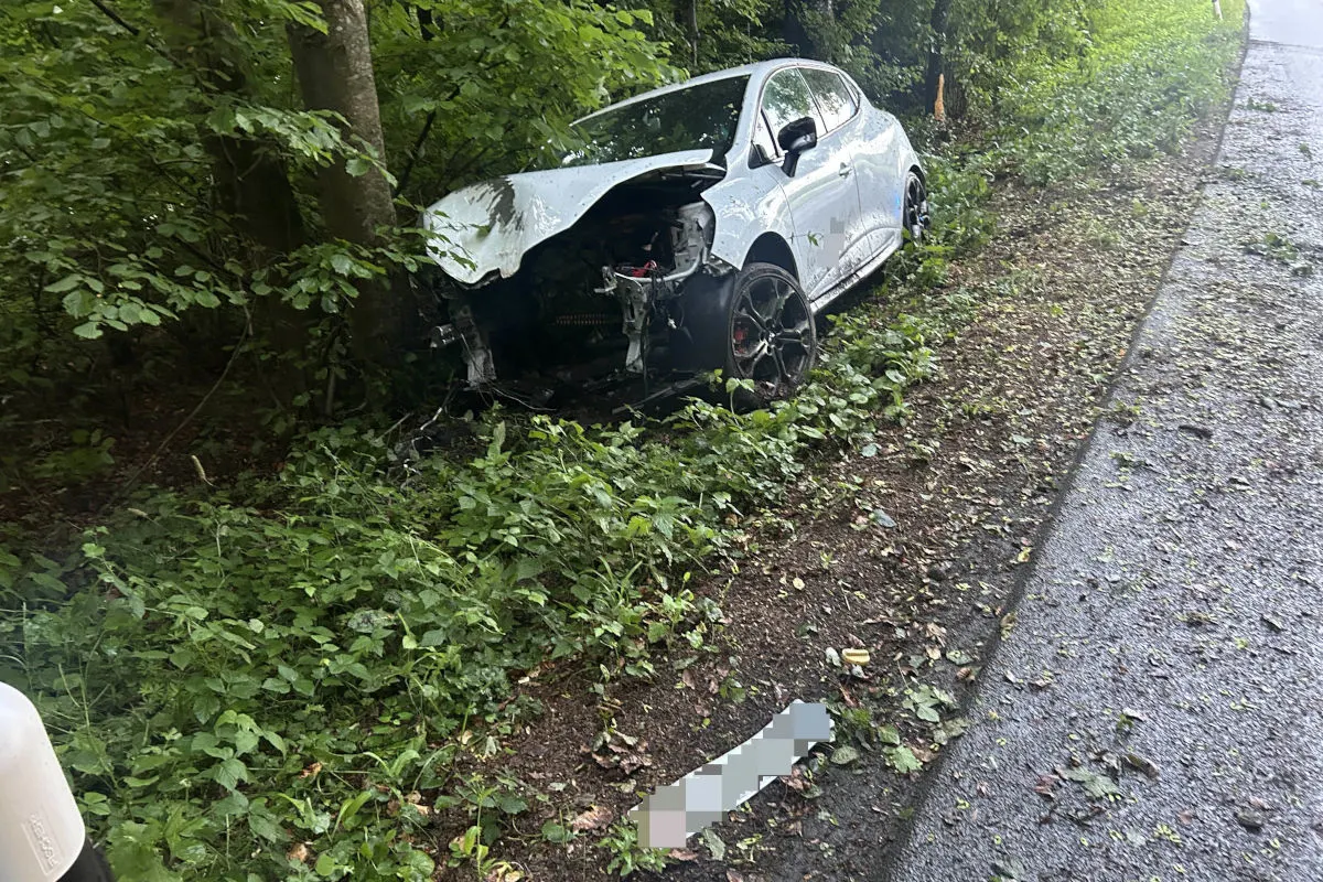Ein weißer Pkw ist mit der Vorderseite schwer beschädigt gegen einen Baum im Wald geprallt. Die Umgebung ist grün und zeigt Anzeichen kürzlichen Regens.