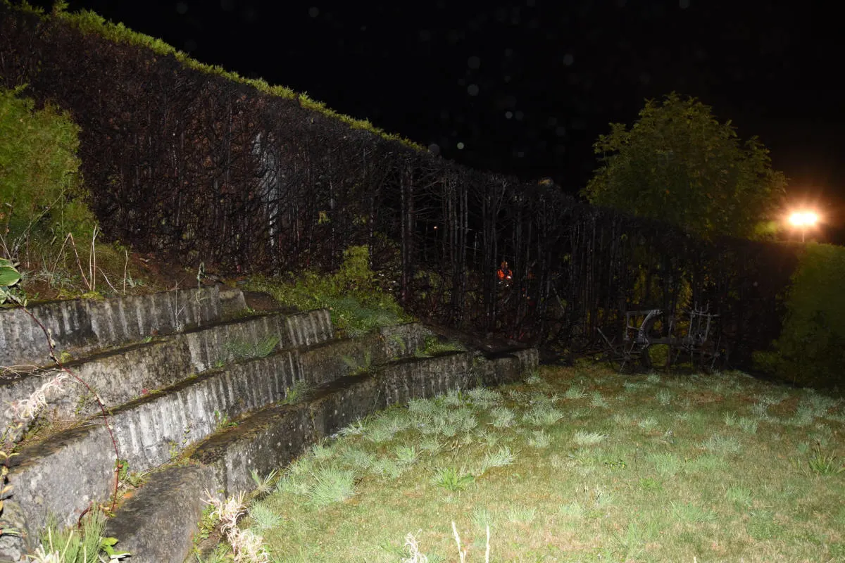 Rorschacherberg SG - Feuerwerk setzt Hecke in Brand