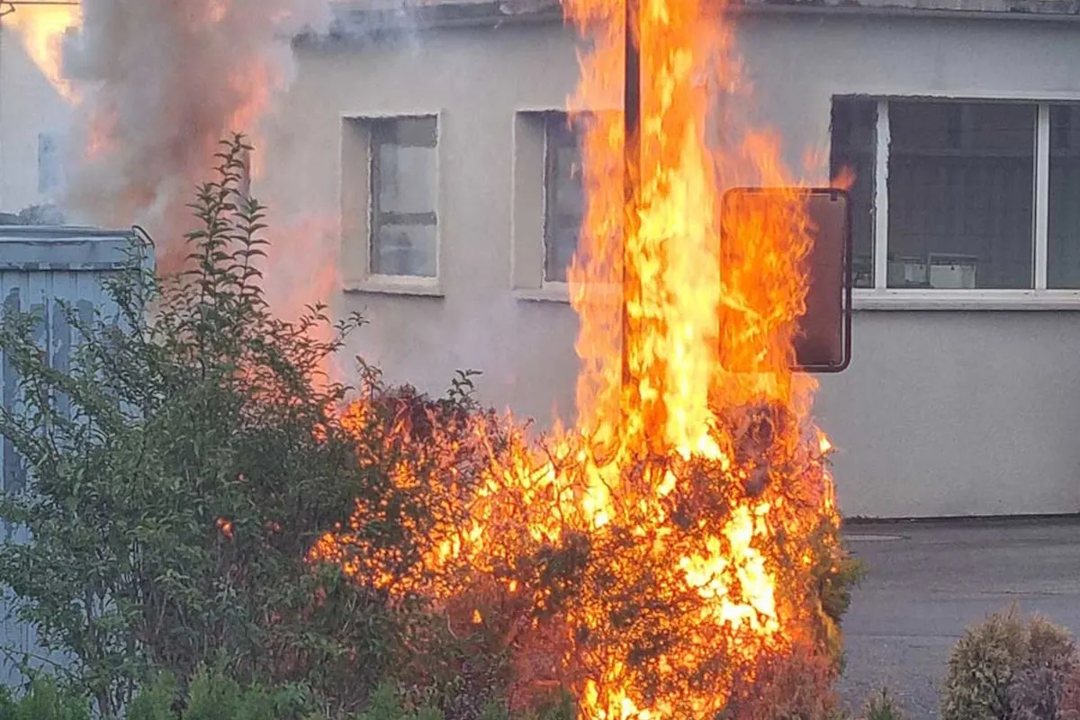 Ein Heckenbrand lodert vor einem Gebäude, wobei Flammen und Rauch sichtbar sind. Ein Straßenschild steht nahebei.